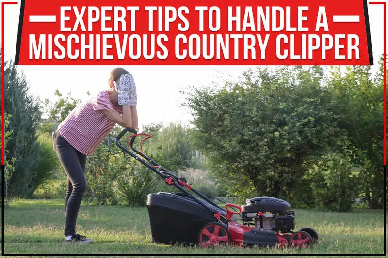 You are currently viewing Expert tips to handle a mischievous country clipper